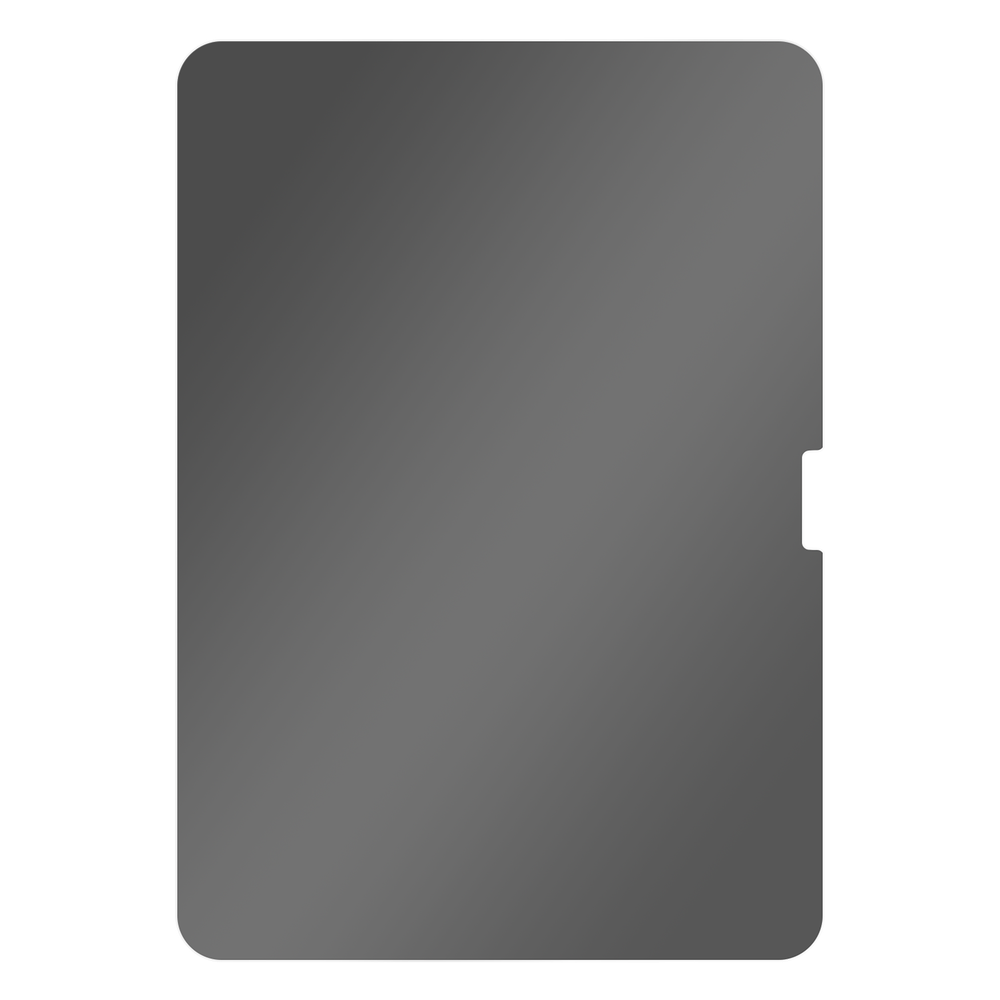 iPad Pro 11 2024 (5th Gen) Screenprotector Gehard Glas Privacy